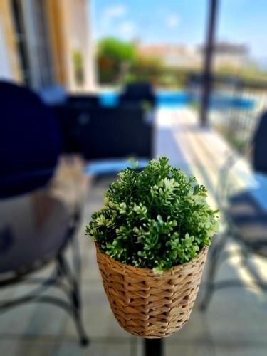 Outdoor Pictures 24