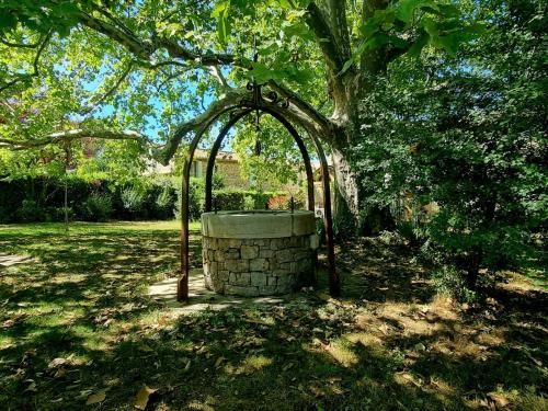 Outdoor Pictures 16