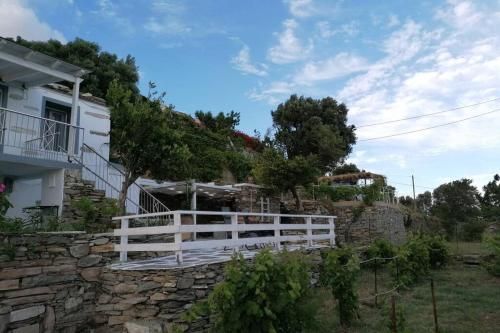 Outdoor Pictures 6