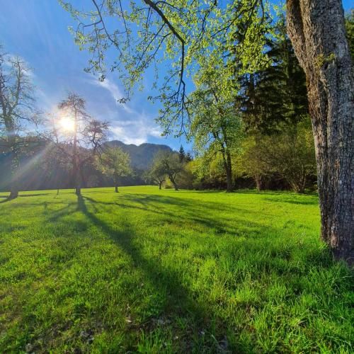 Outdoor Pictures 12