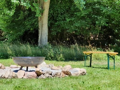 Outdoor Pictures 15