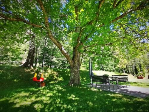 Outdoor Pictures 7