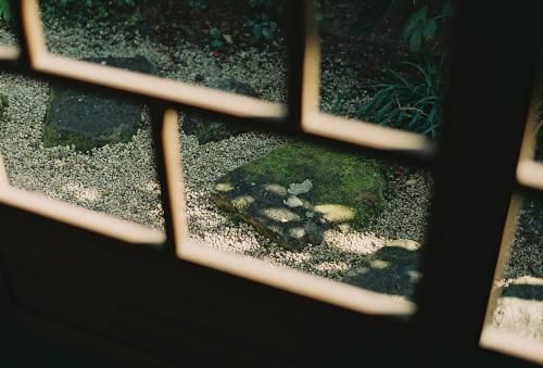 Outdoor Pictures 3