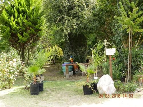 Outdoor Pictures 7