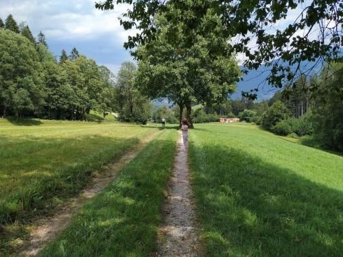 Outdoor Pictures 11