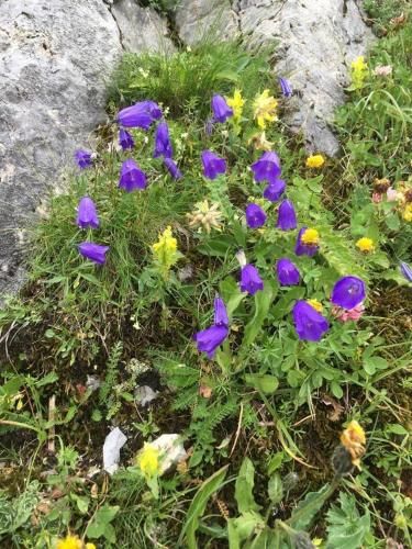 Outdoor Pictures 7