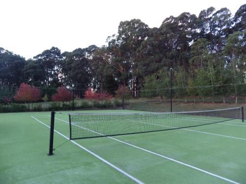 Outdoor Pictures 7
