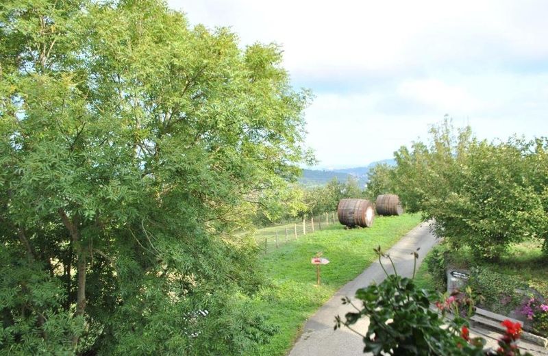 Casa Rural Artola
