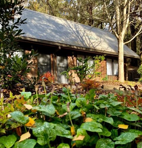 Emerald Star Cottages