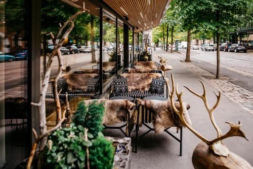 Outdoor Pictures 10