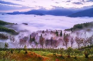 Outdoor Pictures 15