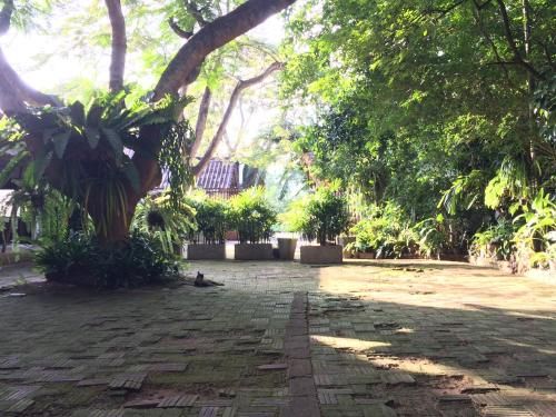 Outdoor Pictures 15
