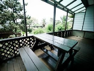 Outdoor Pictures 9