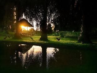 Outdoor Pictures 12