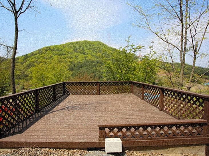 Outdoor Pictures 11
