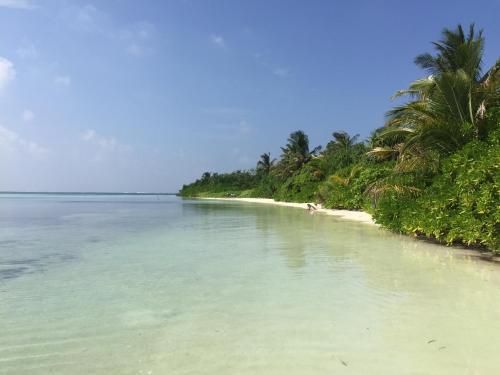 Olive Goidhoo