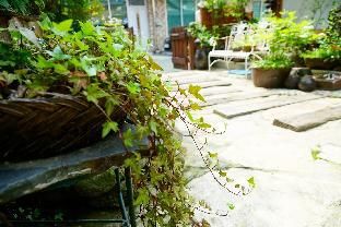 Outdoor Pictures 14
