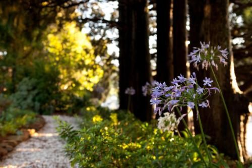 Outdoor Pictures 20