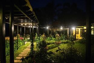 Outdoor Pictures 15