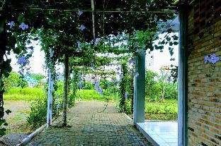 Outdoor Pictures 15