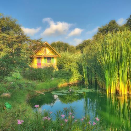 Outdoor Pictures 22