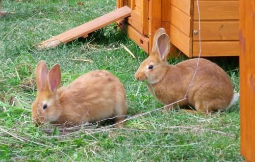Outdoor Pictures 20