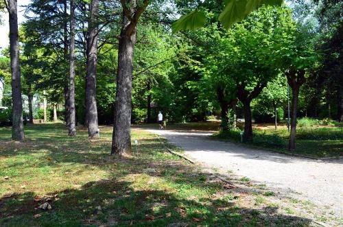 Outdoor Pictures 7