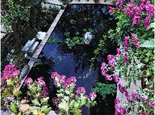 Outdoor Pictures 21
