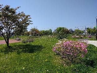 Outdoor Pictures 7