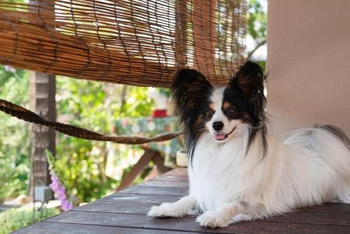 Outdoor Pictures 4