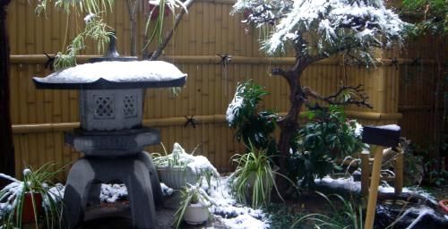 Outdoor Pictures 15