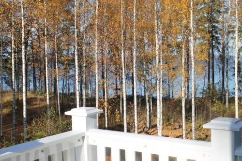 Outdoor Pictures 4