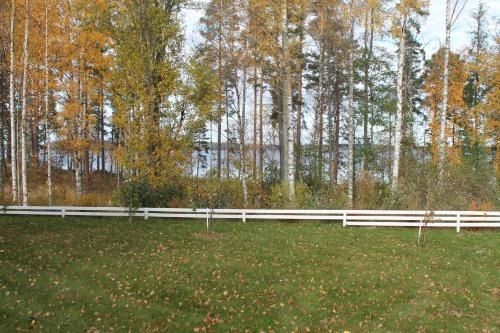 Outdoor Pictures 7