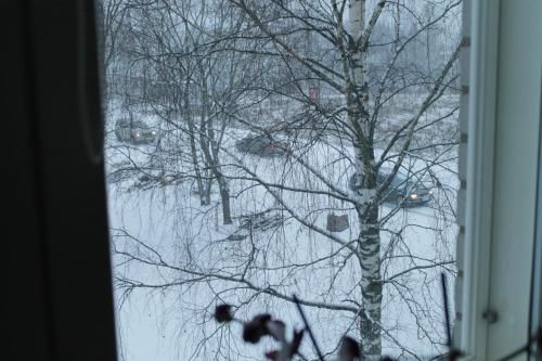 Outdoor Pictures 8