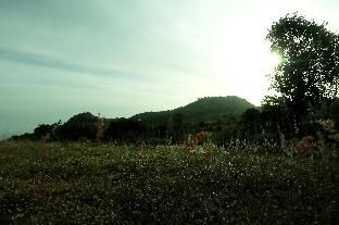 Outdoor Pictures 14