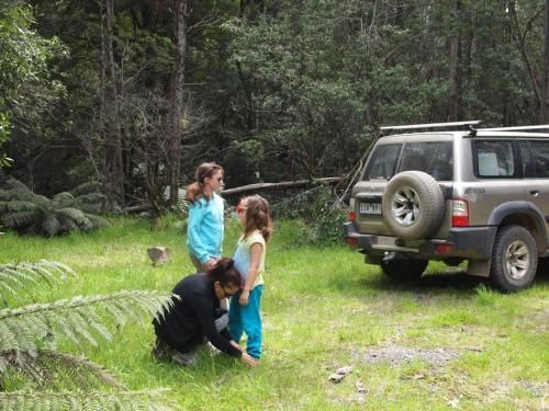 Outdoor Pictures 2