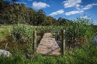 Outdoor Pictures 9