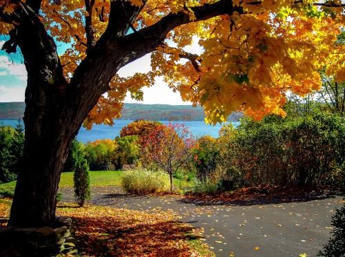 Outdoor Pictures 24