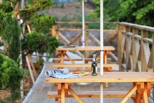Outdoor Pictures 12