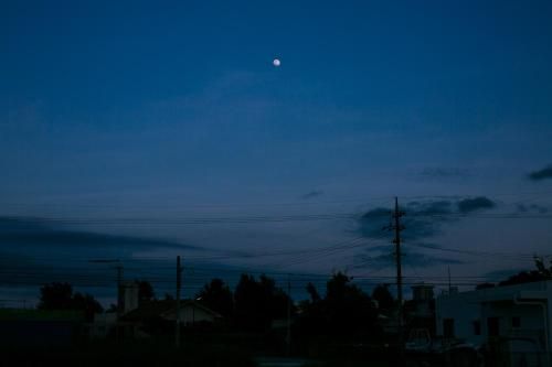 Outdoor Pictures 8