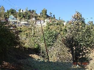 Outdoor Pictures 15