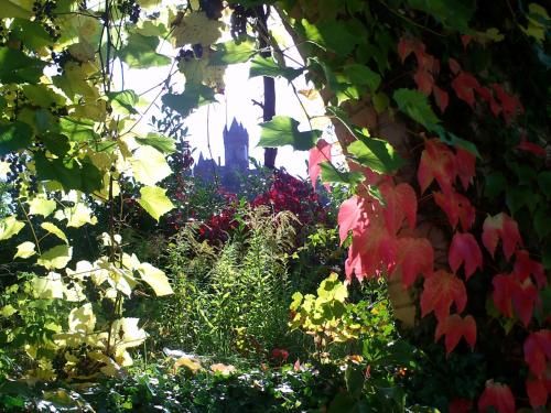 Outdoor Pictures 7