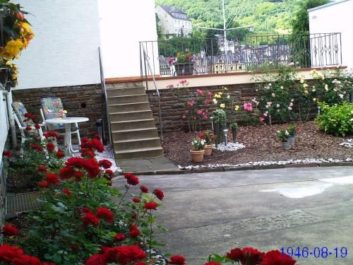 Outdoor Pictures 10