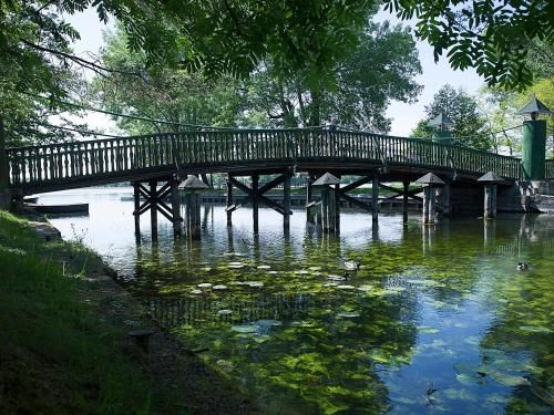 Outdoor Pictures 19