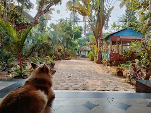 Outdoor Pictures 23