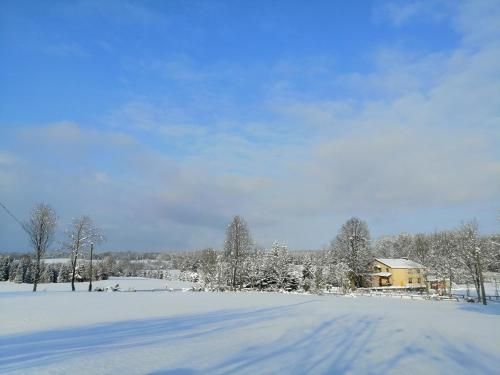 Outdoor Pictures 12