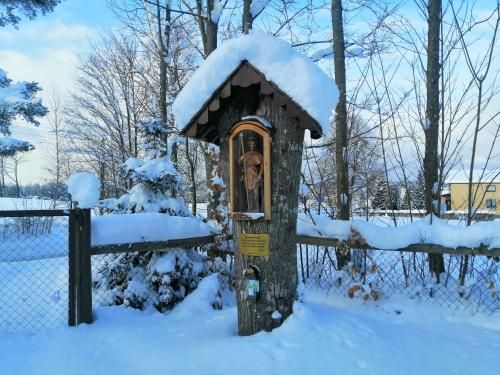 Outdoor Pictures 15
