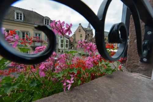 Outdoor Pictures 20