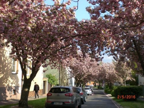 Outdoor Pictures 23