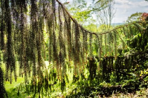 Outdoor Pictures 13